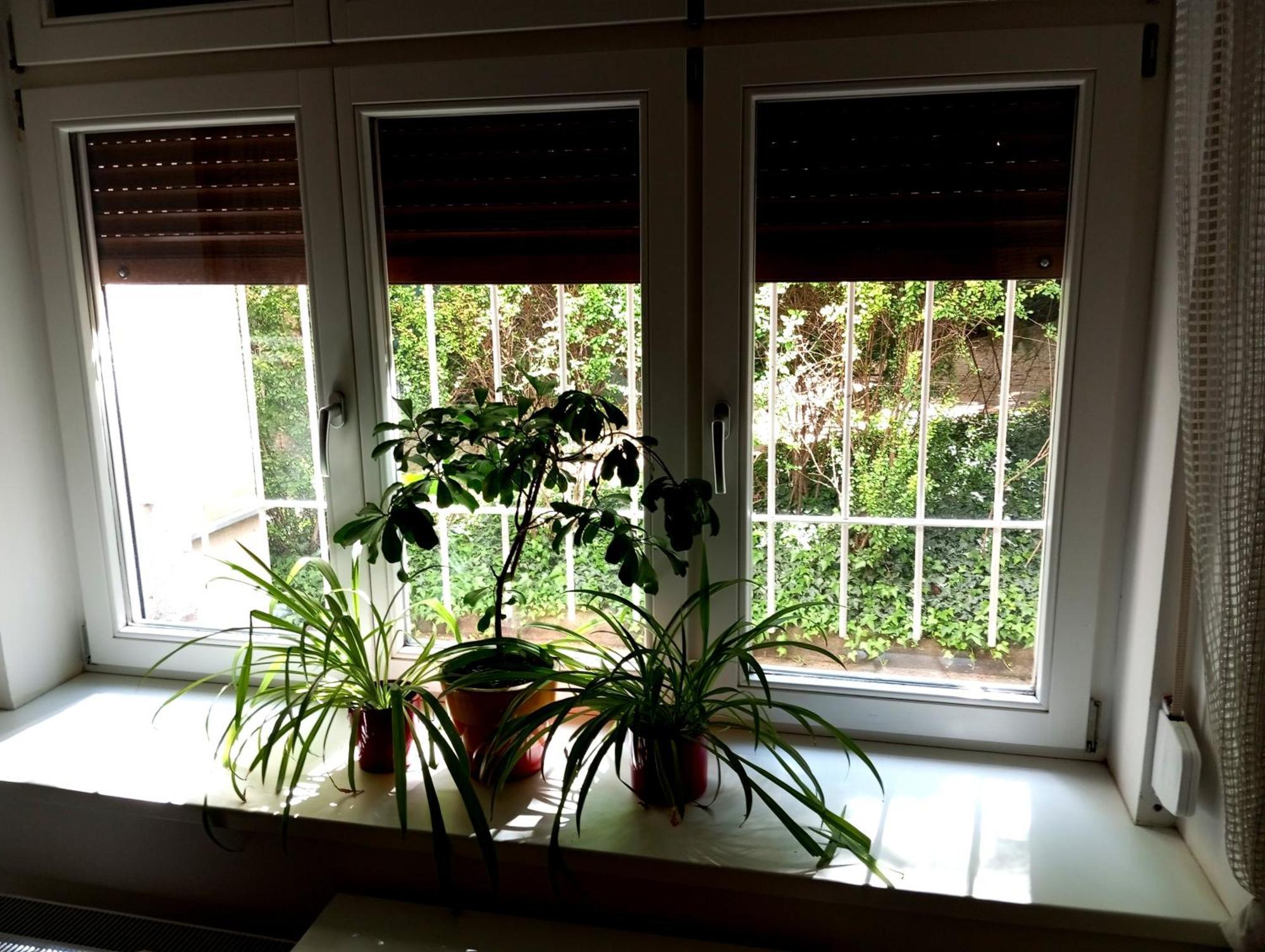 Garden Apartment Prága Kültér fotó